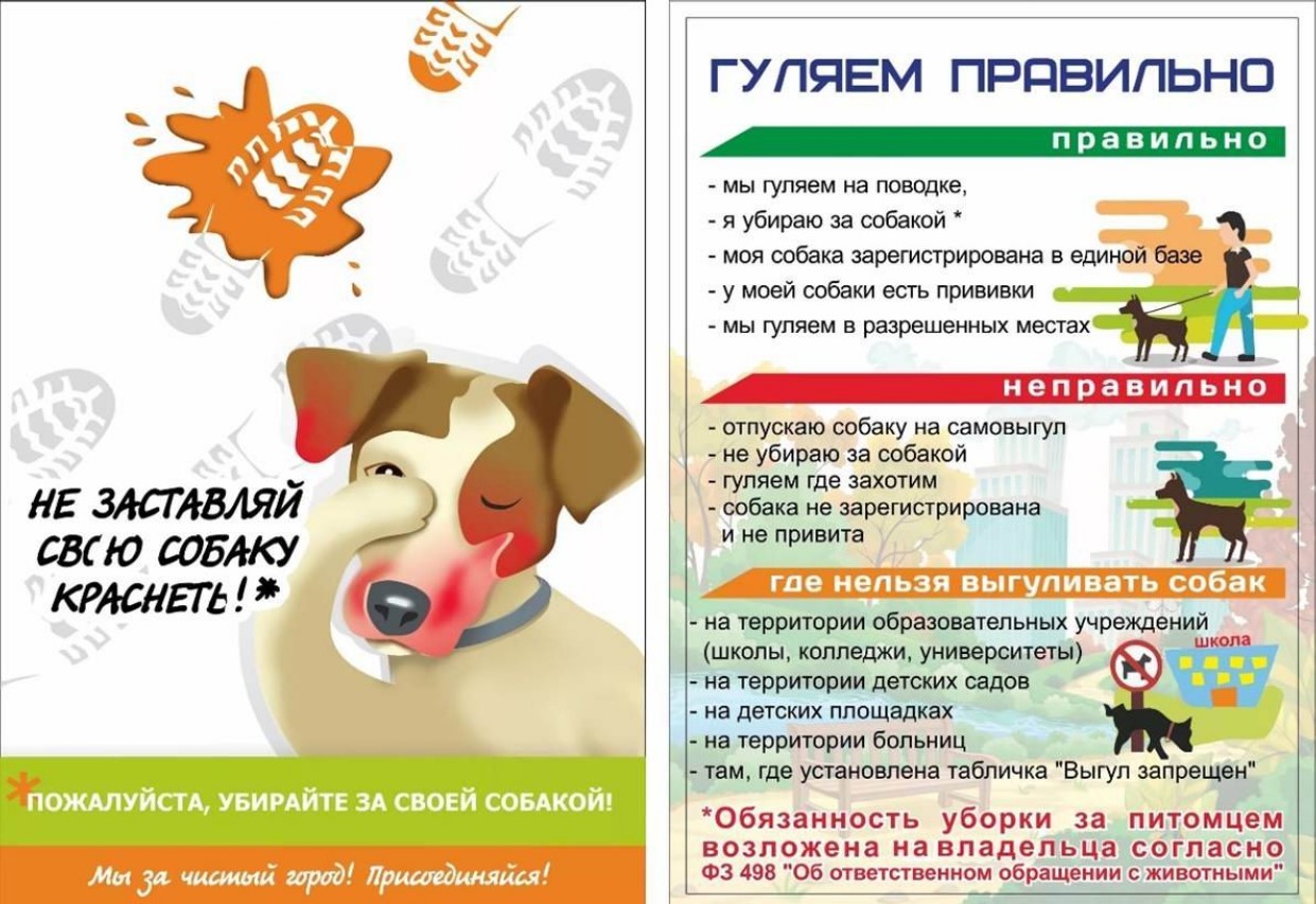 Фотографии.
