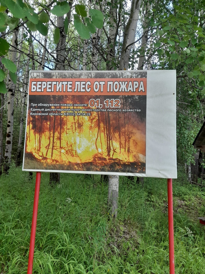 В лесах Кировской области начался пожароопасный период.